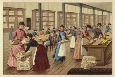 Empaque de chocolates en una fábrica de European School